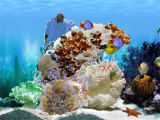 FP :: Amazing 3D Aquarium ADD-on  :: Chaetodont II - Fish Pack Screenshot